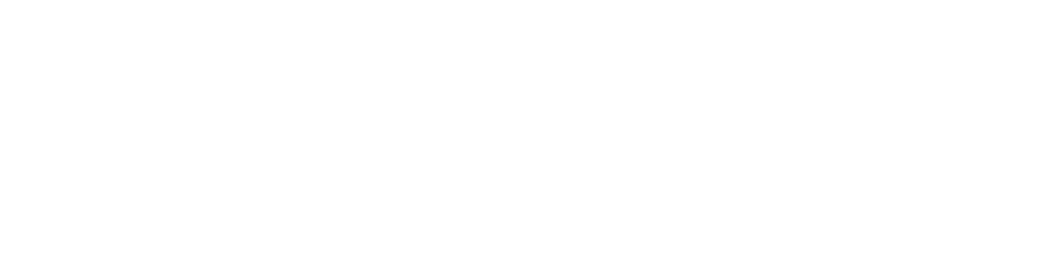 Verizon